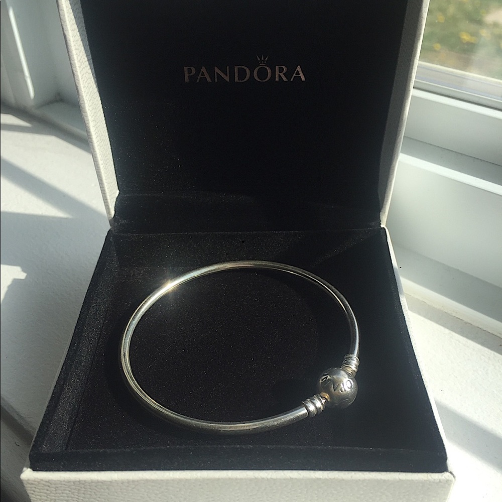 Sterling Silver Pandora Bracelet - Picture 8 of 12